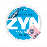 ZYN - Cool Mint Mini Dry (2••)